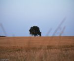 Objezierze_Plener fotograficzny (17 z 36)