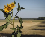 Objezierze_Plener fotograficzny (5 z 36)