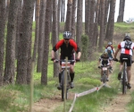 MTB-2015-731.jpg