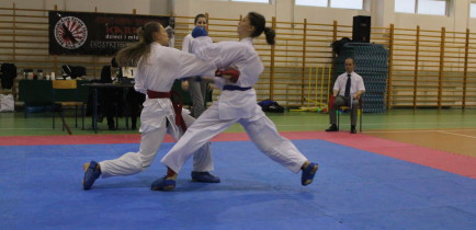 Walczyli w Mikołajkowym Turnieju Karate