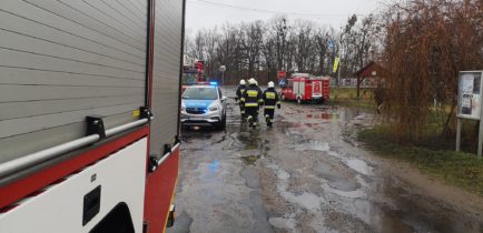 Wolontariuszki o wielkim sercu uratowały sąsiada z Chrustowa