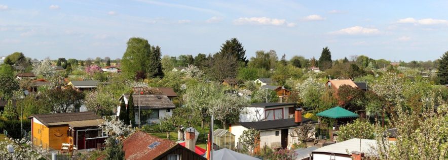 Rozwój zielonej infrastruktury poprzez wsparcie ogrodów działkowych