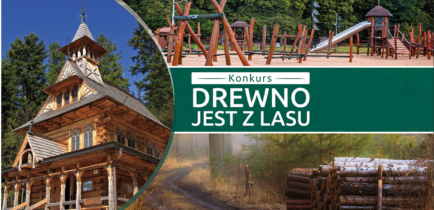 Drewno jest z lasu